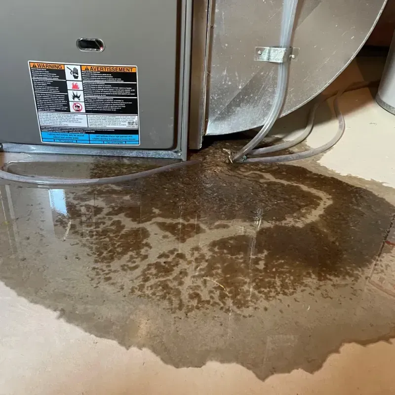 Appliance Leak Cleanup in Chowan County, NC